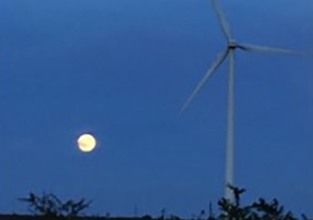 Do wind turbines make a lot of noise?